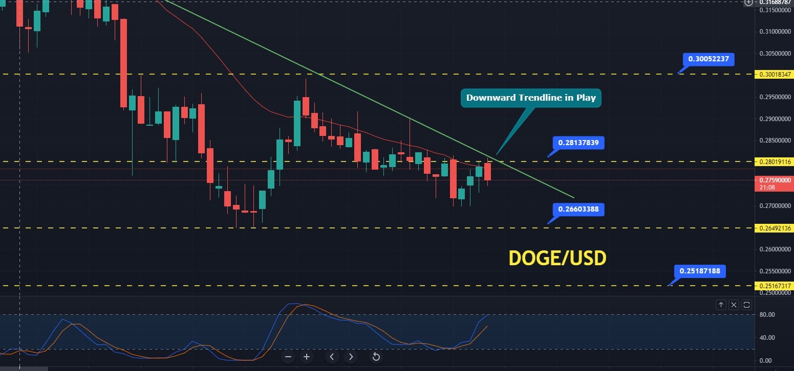 Dogecoin price prediction march 2021